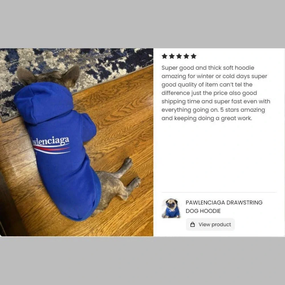 Pawlenciaga Small Dog Hoodie Pet Apparel In Blue